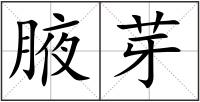 腋芽