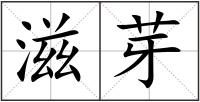 滋芽