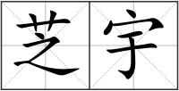芝宇