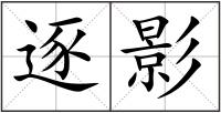逐影