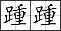 踵踵