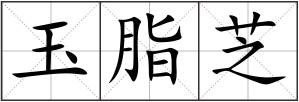 玉脂芝