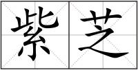 紫芝